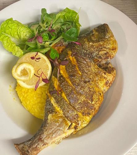 seabream